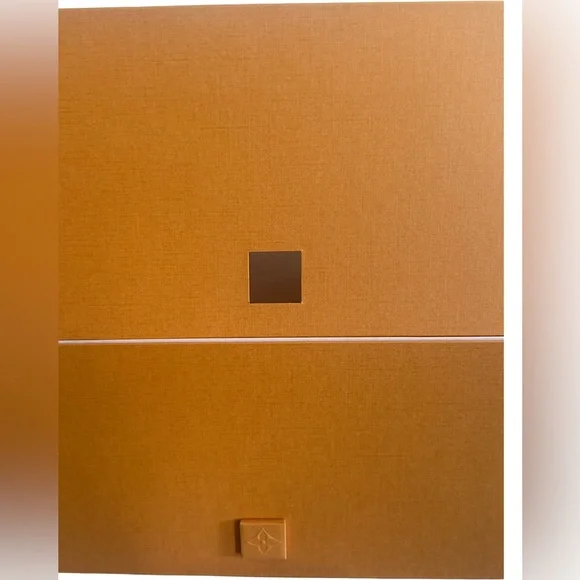 Louis Vuitton Authentic Gift Box + Dust Bag Sz: 15.5” x 13” x 7.5” - Picture 4 of 5